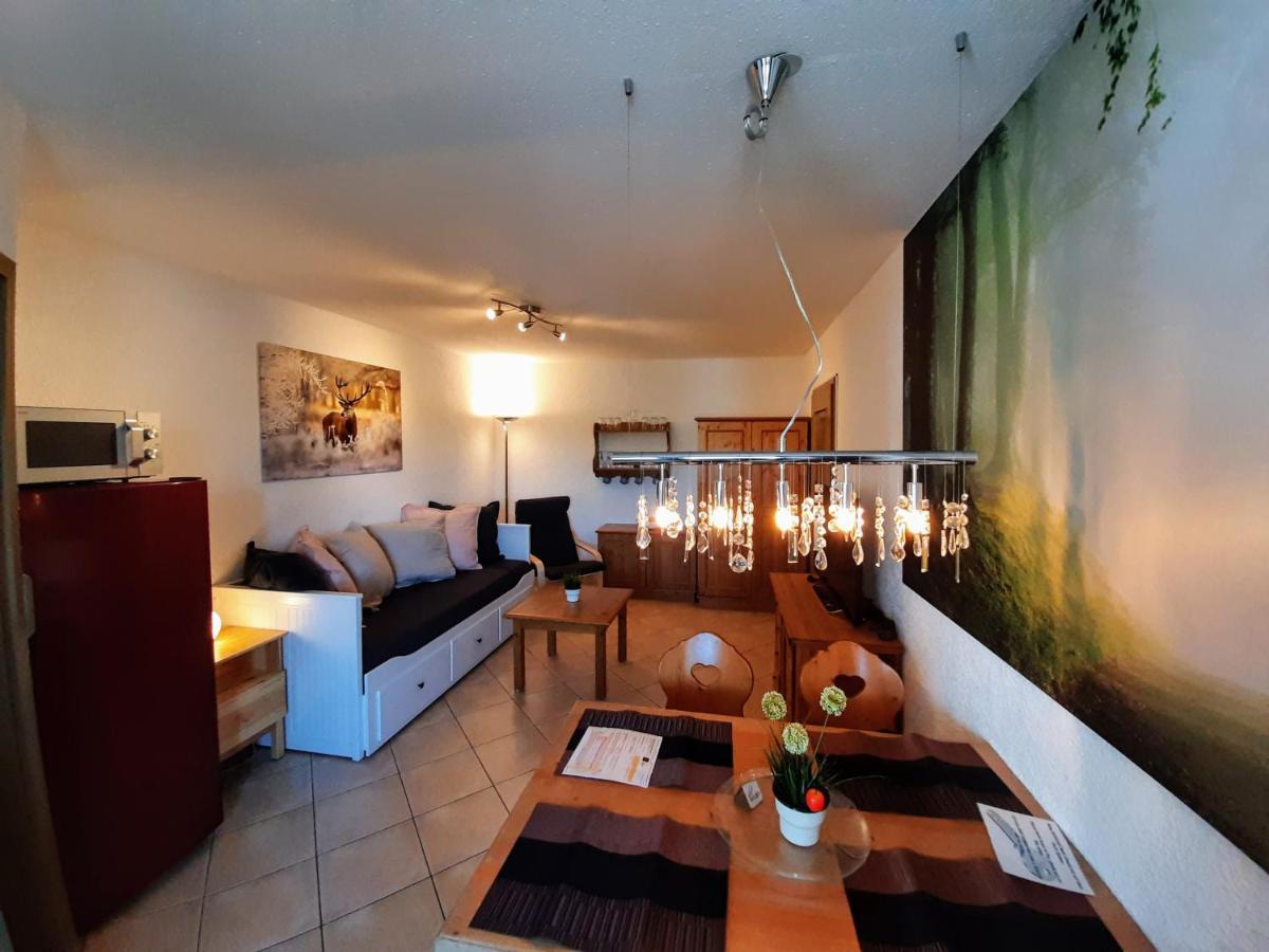 Residenz Schauinsland, Ganzes Appartement, Sauna 托特瑙 外观 照片