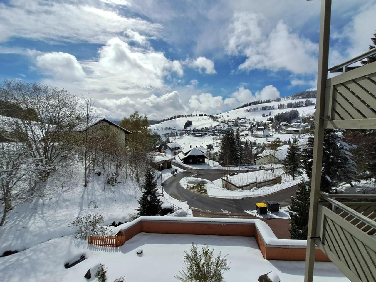 Residenz Schauinsland, Ganzes Appartement, Sauna 托特瑙 外观 照片