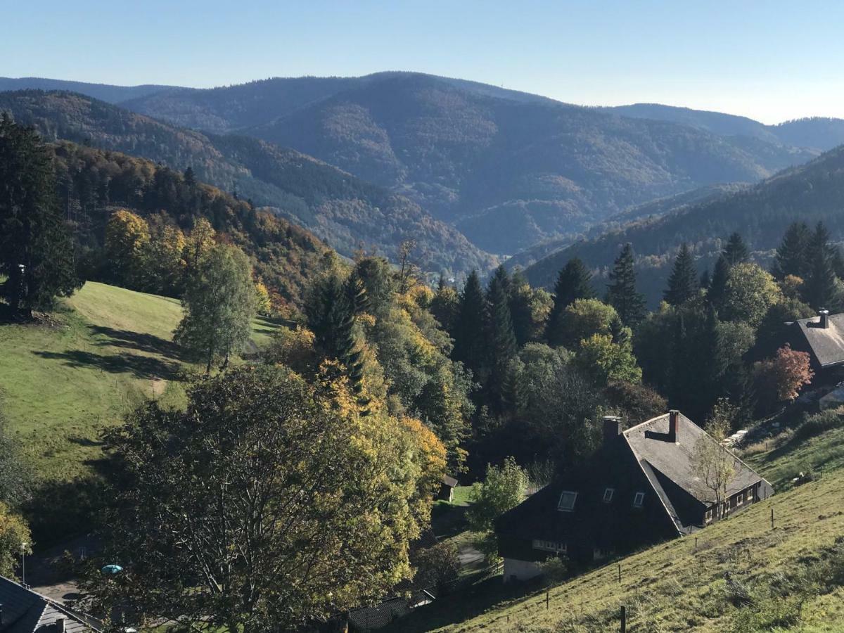 Residenz Schauinsland, Ganzes Appartement, Sauna 托特瑙 外观 照片