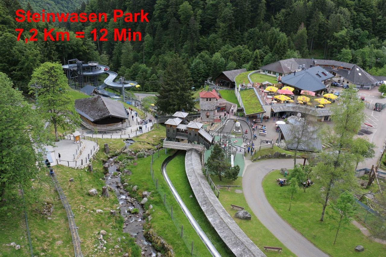 Residenz Schauinsland, Ganzes Appartement, Sauna 托特瑙 外观 照片