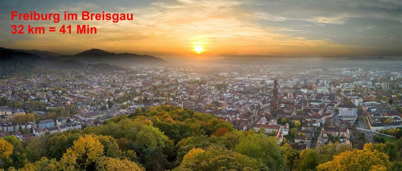 Residenz Schauinsland, Ganzes Appartement, Sauna 托特瑙 外观 照片