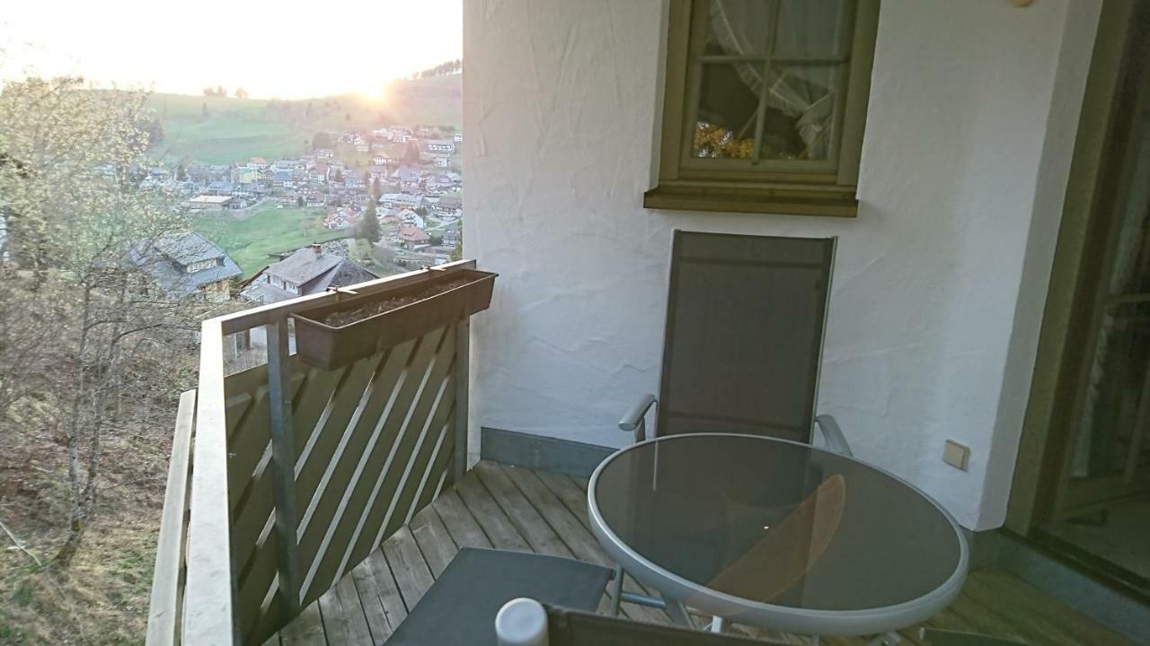 Residenz Schauinsland, Ganzes Appartement, Sauna 托特瑙 外观 照片