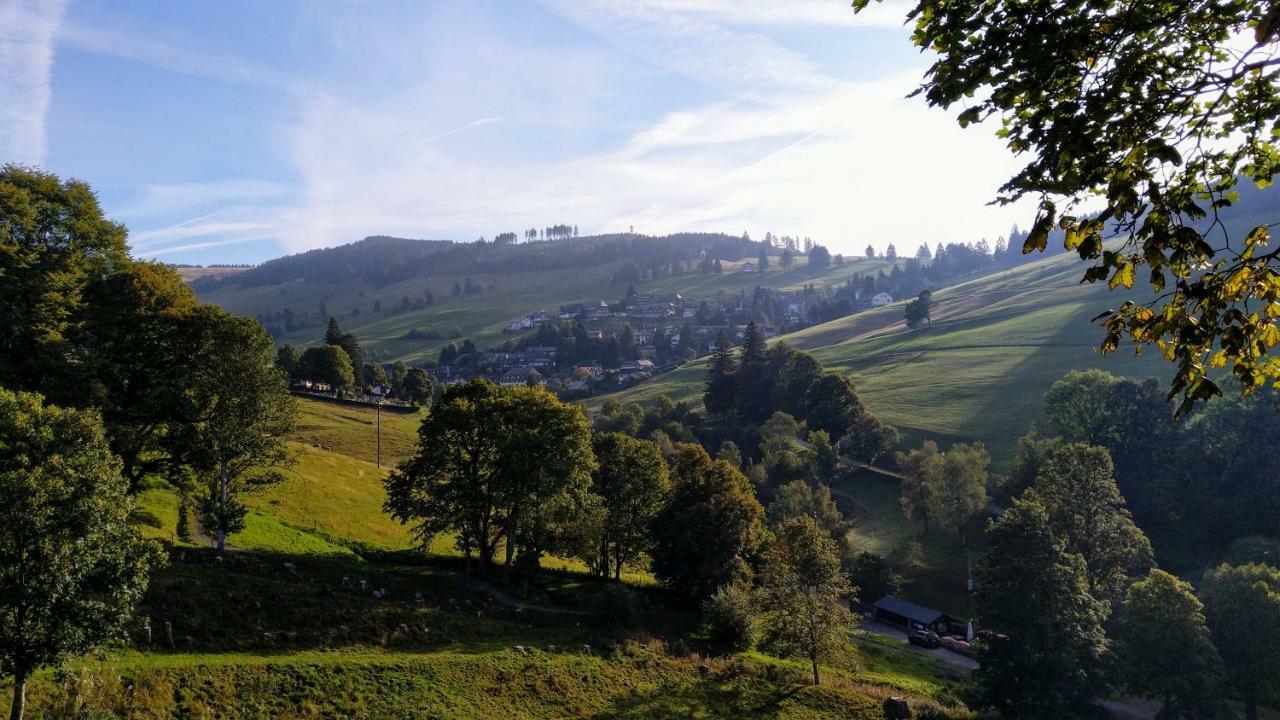 Residenz Schauinsland, Ganzes Appartement, Sauna 托特瑙 外观 照片